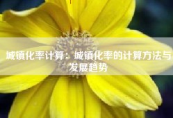 城镇化率计算：城镇化率的计算方法与发展趋势
