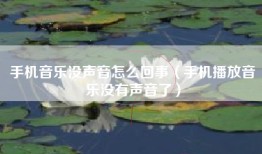 手机音乐没声音怎么回事（手机播放音乐没有声音了）