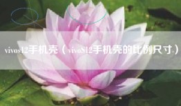 vivos12手机壳（vivoS12手机壳的比例尺寸）