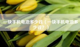 一块手机电池多少钱（一块手机电池多少钱？）