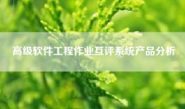 高级软件工程作业互评系统产品分析