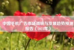 中国手机广告市场调研与发展趋势预测报告（2024年）