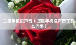 三星手机没声音（三星手机没声音了怎么回事）