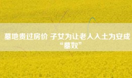 墓地贵过房价 子女为让老人入土为安成“墓奴”