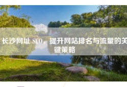长沙网址 SEO，提升网站排名与流量的关键策略
