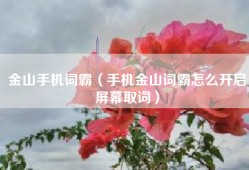 金山手机词霸（手机金山词霸怎么开启屏幕取词）