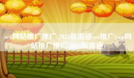 seo网站推广推广 2024新渠道seo推广(seo网站推广推广 2024新渠道)