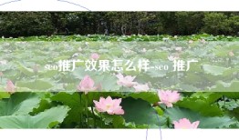 seo推广效果怎么样-seo 推广