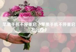 苹果手机不停重启（苹果手机不停重启怎么办）