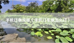 手机订票流程（手机订车票怎么订）