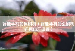 智能手机如何刷机（智能手机怎么刷机还原出厂设置）