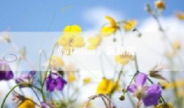 《uTorrent》最新版