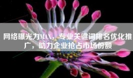 网络曝光力MAX，专业关键词排名优化推广，助力企业抢占市场份额