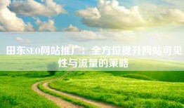 田东SEO网站推广：全方位提升网站可见性与流量的策略