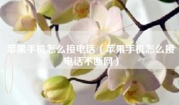 苹果手机怎么接电话（苹果手机怎么接电话不断网）