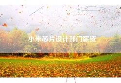 小米芯片设计部门薪资