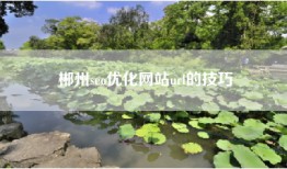 郴州seo优化网站url的技巧