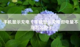手机显示充电（手机显示充电但电量不涨怎么办）