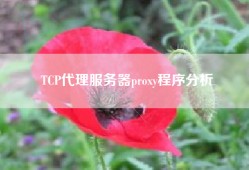 TCP代理服务器proxy程序分析