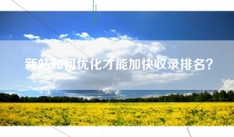 新站如何优化才能加快收录排名？