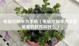 电脑控制华为手机（电脑控制华为手机屏幕的软件叫什么）