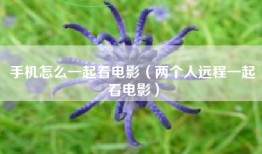 手机怎么一起看电影（两个人远程一起看电影）