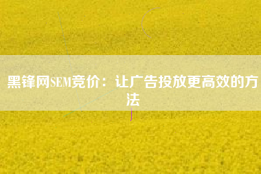 黑锋网SEM竞价：让广告投放更高效的方法
