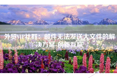 外贸VIP社群：邮件无法发送大文件的解决方案-创新互联