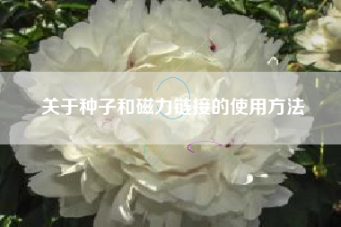 关于种子和磁力链接的使用方法
