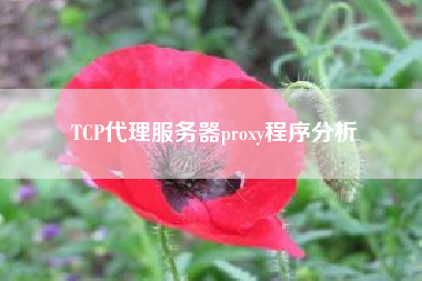 TCP代理服务器proxy程序分析