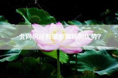 北向房屋有哪些独特的优势？
