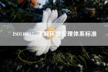 ISO14001：了解环境管理体系标准