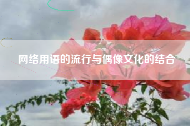 网络用语的流行与偶像文化的结合