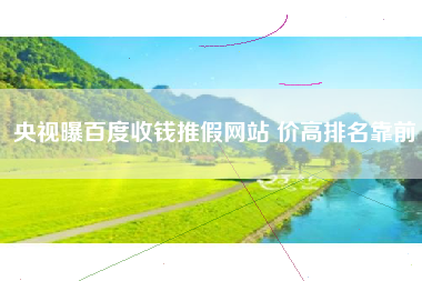 央视曝百度收钱推假网站 价高排名靠前