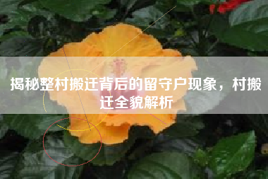揭秘整村搬迁背后的留守户现象，村搬迁全貌解析