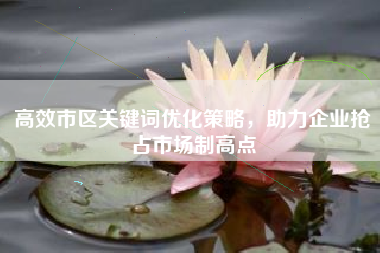 高效市区关键词优化策略，助力企业抢占市场制高点