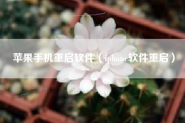 苹果手机重启软件（iphone软件重启）