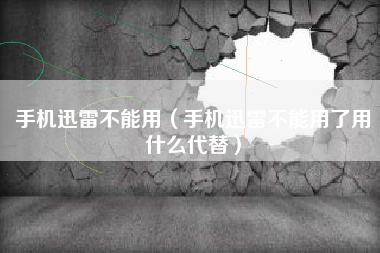 手机迅雷不能用（手机迅雷不能用了用什么代替）