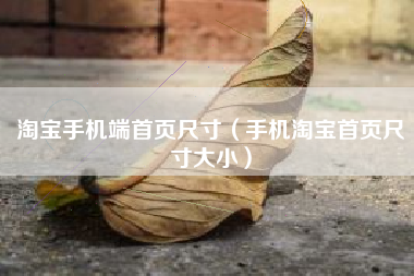 淘宝手机端首页尺寸（手机淘宝首页尺寸大小）