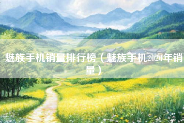 魅族手机销量排行榜（魅族手机2020年销量）