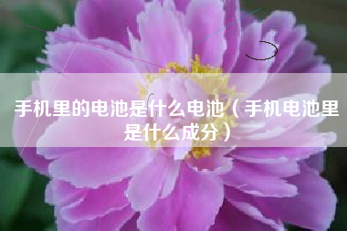 手机里的电池是什么电池（手机电池里是什么成分）