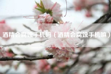 酒精会腐蚀手机吗（酒精会腐蚀手机嘛）