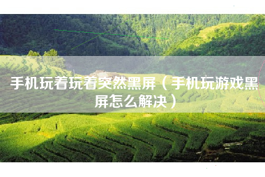 手机玩着玩着突然黑屏（手机玩游戏黑屏怎么解决）