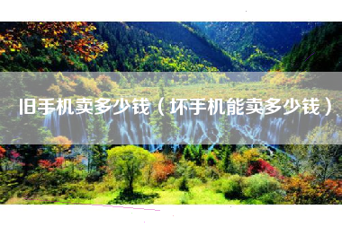 旧手机卖多少钱（坏手机能卖多少钱）