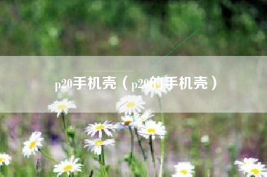 p20手机壳（p20的手机壳）