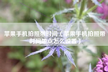 苹果手机拍照带时间（苹果手机拍照带时间地点怎么设置）
