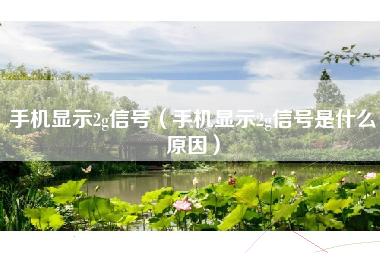 手机显示2g信号（手机显示2g信号是什么原因）