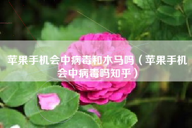苹果手机会中病毒和木马吗（苹果手机会中病毒吗知乎）