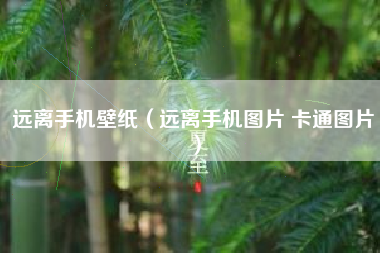 远离手机壁纸（远离手机图片 卡通图片）