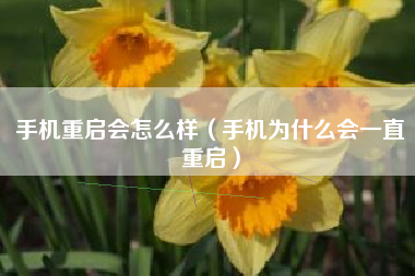 手机重启会怎么样（手机为什么会一直重启）